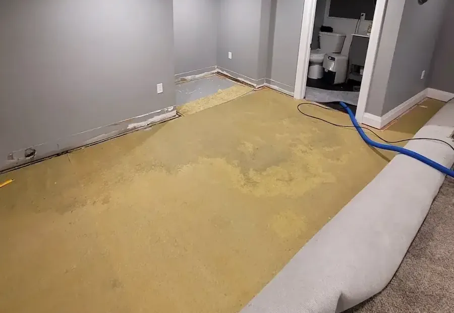 Wet carpet folded back above soaked padding beside an extraction hose