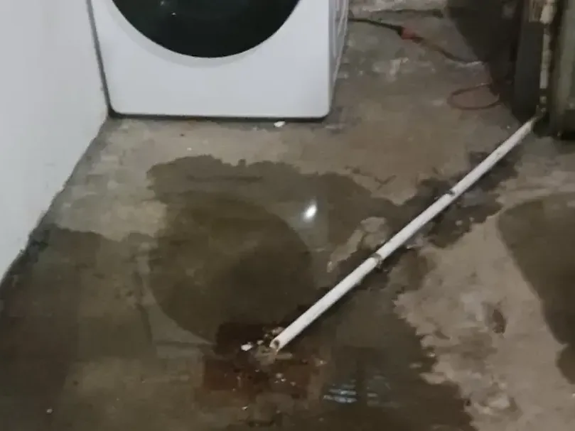 Water pools across a laundry floor beside a washing machine